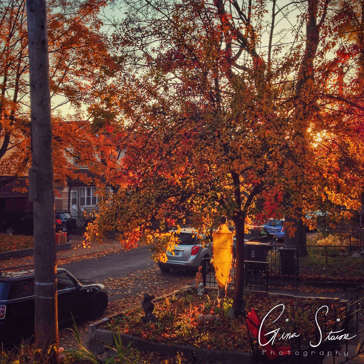 Street in Autumn II