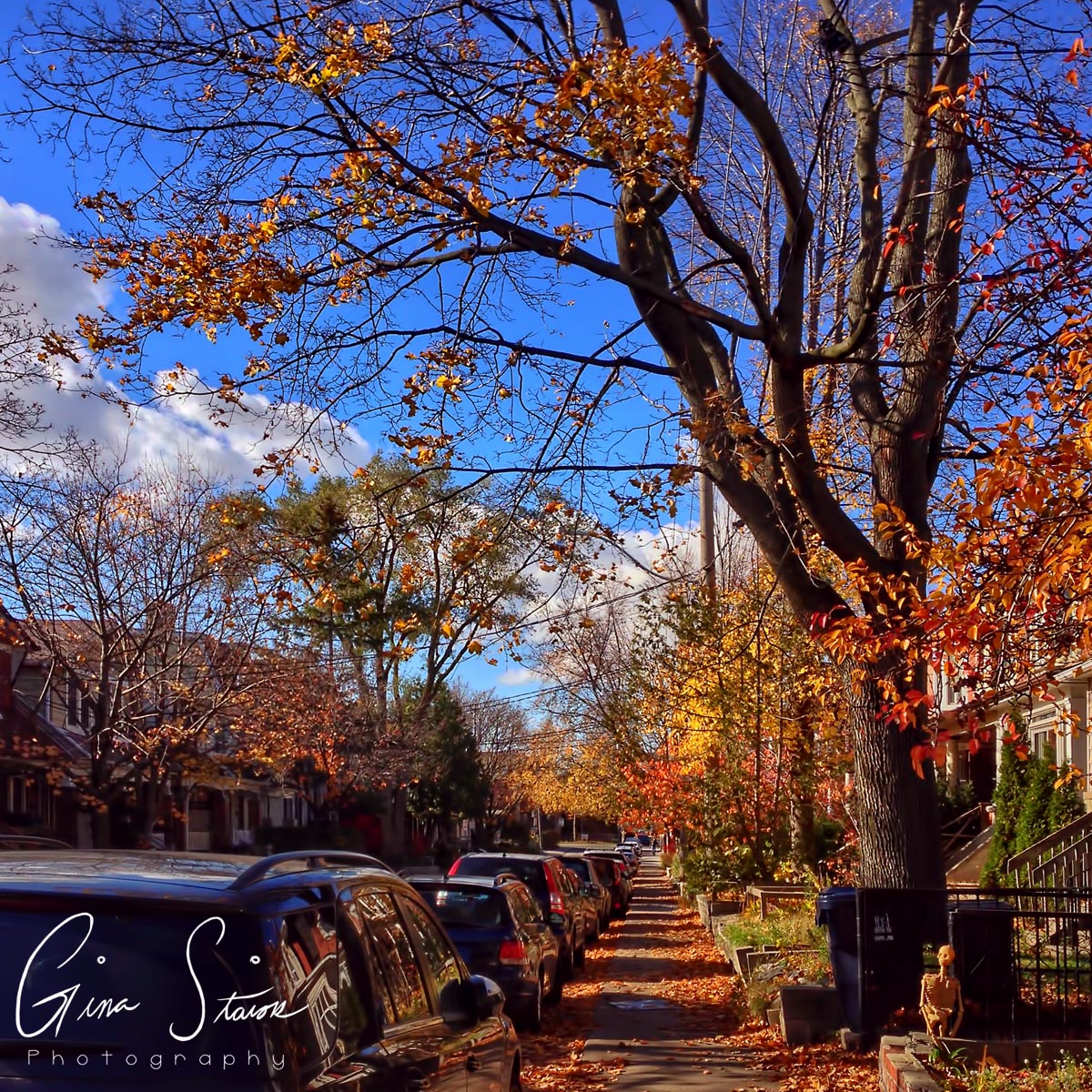 Street in Autumn