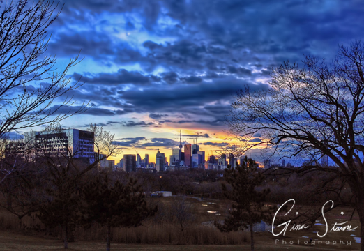 Toronto Skyline in Spring