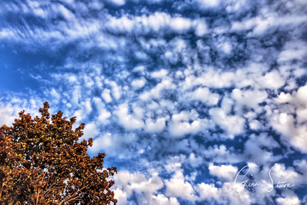 Blue Sky and Clouds on August 23, 2016.