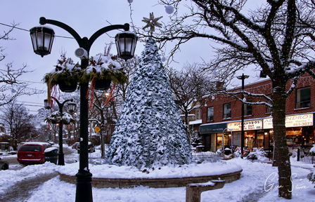 Alexander's Square in Winter