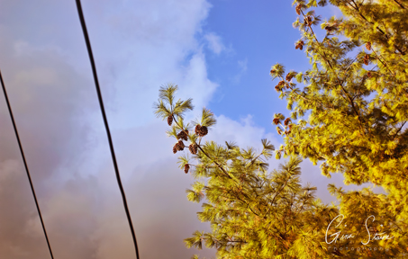Autumn Skies on October 24th, 2017.